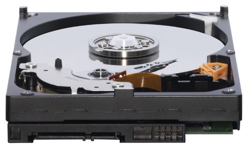 Western Digital AV 250 GB 3.5" 7200 RPM Internal Hard Drive