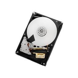 Hitachi Ultrastar 2 TB 3.5" 7200 RPM Internal Hard Drive