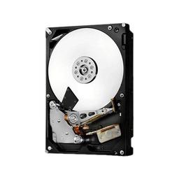 Hitachi Ultrastar 2 TB 3.5" 7200 RPM Internal Hard Drive