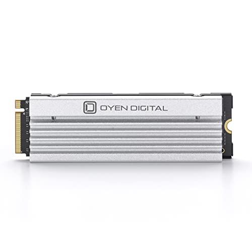 Oyen Digital Dash Pro w/Heat Sink 4 TB M.2-2280 PCIe 4.0 X4 NVME Solid State Drive
